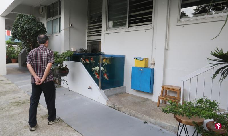 尽管建屋局基于安全考量无法接受屋主有意保住住家门口大鱼缸的要求,但截至昨天,这名屋主仍未拆除鱼缸,还表示有意向当局提出上诉。屋主买下两个单位,并打通隔壁单位,因此有两个门口,右边的门口保留了原本的梯级,屋主平时可从这个门口出入。(吴伟国摄) 尽管建屋局基于安全考量无法接受屋主有意保住住家门口大鱼缸的要求,但截至昨天,这名屋主仍未拆除鱼缸,还表示有意向当局提出上诉。屋主买下两个单位,并打通隔壁单位,因此有两个门口,右边的门口保留了原本的梯级,屋主平时可从这个门口出入。(吴伟国摄)