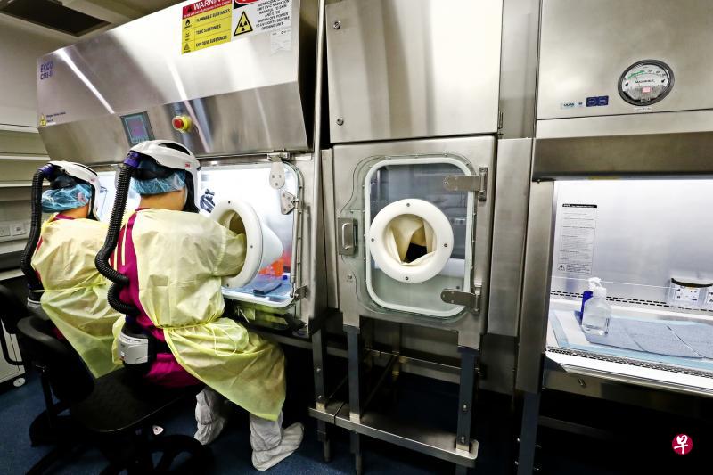 国家公共卫生实验室会使用生物安全三级(BSL3)实验室处理带有高风险病菌的样本。国家传染病中心共有三间实验室。图为穿着保护设备的工作人员在BSL3实验室示范检测病例样本的过程。(陈来福摄) 国家公共卫生实验室会使用生物安全三级(BSL3)实验室处理带有高风险病菌的样本。国家传染病中心共有三间实验室。图为穿着保护设备的工作人员在BSL3实验室示范检测病例样本的过程。(陈来福摄)