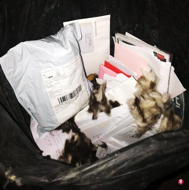 这些未开启的邮件包括一些官方机构的账单和罚单,甚至有各种会员卡。(取自面簿) 这些未开启的邮件包括一些官方机构的账单和罚单,甚至有各种会员卡。(取自面簿)