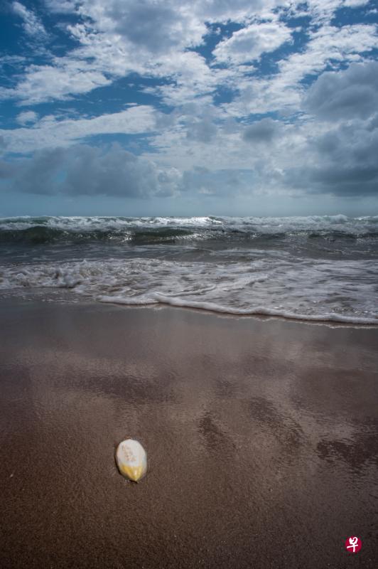 蒙利普斯的海浪与生命痕迹。(南丘摄) 蒙利普斯的海浪与生命痕迹。(南丘摄)