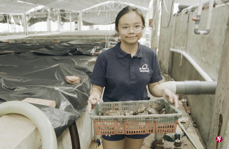 曾仪19岁时选择到欧圣集团设在中国厦门的养殖场实习,她目前是该集团的管理培训生,负责收集和分析养殖数据。(欧圣集团提供) 曾仪19岁时选择到欧圣集团设在中国厦门的养殖场实习,她目前是该集团的管理培训生,负责收集和分析养殖数据。(欧圣集团提供)