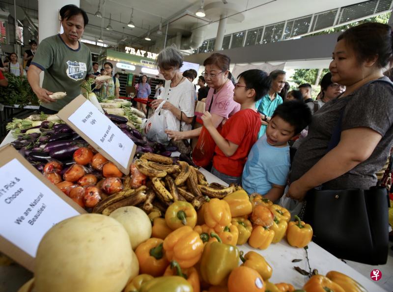民众踊跃领取SGFR义工“拯救”回来的丑蔬果,如灯笼椒、茄子和萝卜等。SGFR也在食材上放置标识牌,写有“外表不好,味道仍好”“不要挑挑拣,每个都是自然美”等标语。(新明日报) 民众踊跃领取SGFR义工“拯救”回来的丑蔬果,如灯笼椒、茄子和萝卜等。SGFR也在食材上放置标识牌,写有“外表不好,味道仍好”“不要挑挑拣,每个都是自然美”等标语。(新明日报)