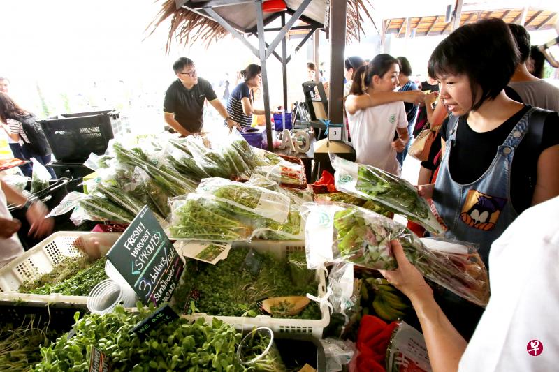 本地农业业者定期举办集市,吸引消费者购买本地蔬菜和鸡蛋等农产品。(档案照片) 本地农业业者定期举办集市,吸引消费者购买本地蔬菜和鸡蛋等农产品。(档案照片)