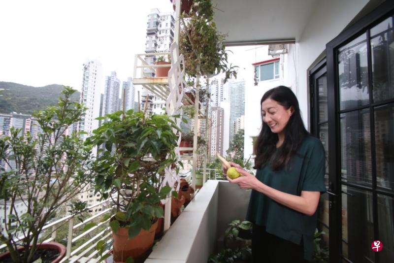 吴绮莉两年前开始在家中露台种植,可以吃到自己的农作物,更重新了解生命的价值。(明报周刊) 吴绮莉两年前开始在家中露台种植,可以吃到自己的农作物,更重新了解生命的价值。(明报周刊)