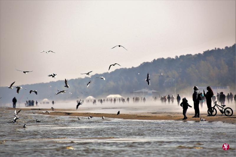 沿着波罗的海的“蓝旗海滩”必须通过水质、生态、环境等16项严格标准。图为尤尔马拉海滩海鸥翱翔。(黄金文摄) 沿着波罗的海的“蓝旗海滩”必须通过水质、生态、环境等16项严格标准。图为尤尔马拉海滩海鸥翱翔。(黄金文摄)