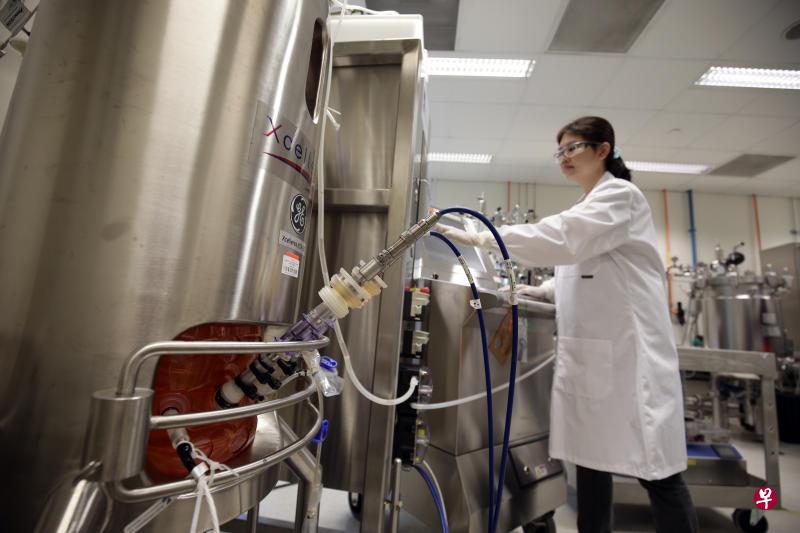 我国科研团队希望在今年底开始测试从活鸡细胞培植出鸡肉食品,协助本地农产品生产量达到国人10%的蛋白质需求。(陈渊庄摄) 我国科研团队希望在今年底开始测试从活鸡细胞培植出鸡肉食品,协助本地农产品生产量达到国人10%的蛋白质需求。(陈渊庄摄)