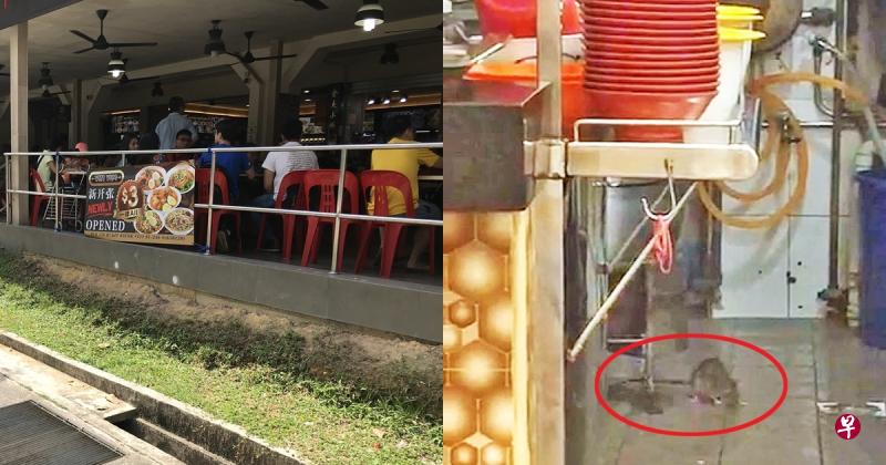 武吉巴督咖啡店被指闹鼠患。(右图)公众指,老鼠不怕人,营业时间也能见到踪影。(读者提供) 武吉巴督咖啡店被指闹鼠患。(右图)公众指,老鼠不怕人,营业时间也能见到踪影。(读者提供)