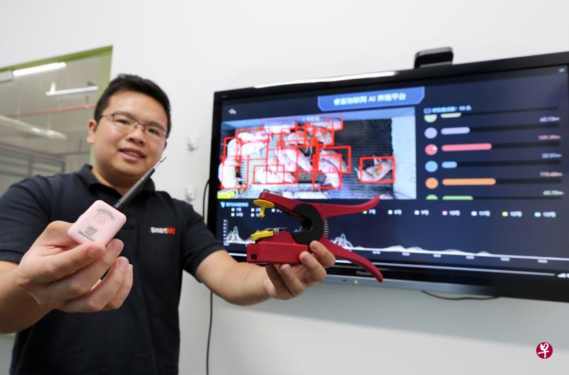 睿畜科技联合创始人陈浩恺展示公司的三款明星产品:电子医生、智能耳标和“天蓬系统”。(庄耿闻摄) 睿畜科技联合创始人陈浩恺展示公司的三款明星产品:电子医生、智能耳标和“天蓬系统”。(庄耿闻摄)