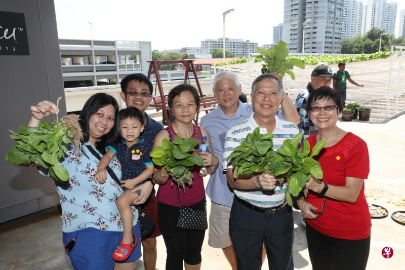 杨厝港居民前来参观城市农场,并把新鲜蔬菜带回家烹煮。(邝启聪摄) 杨厝港居民前来参观城市农场,并把新鲜蔬菜带回家烹煮。(邝启聪摄)