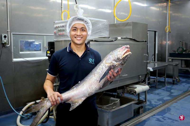 洪俊廷加入海声渔业后,也推动家族企业采用科技,例如采购刮除鱼鳞和切割的机器,以及加入电子商务平台。(严宣融摄) 洪俊廷加入海声渔业后,也推动家族企业采用科技,例如采购刮除鱼鳞和切割的机器,以及加入电子商务平台。(严宣融摄)