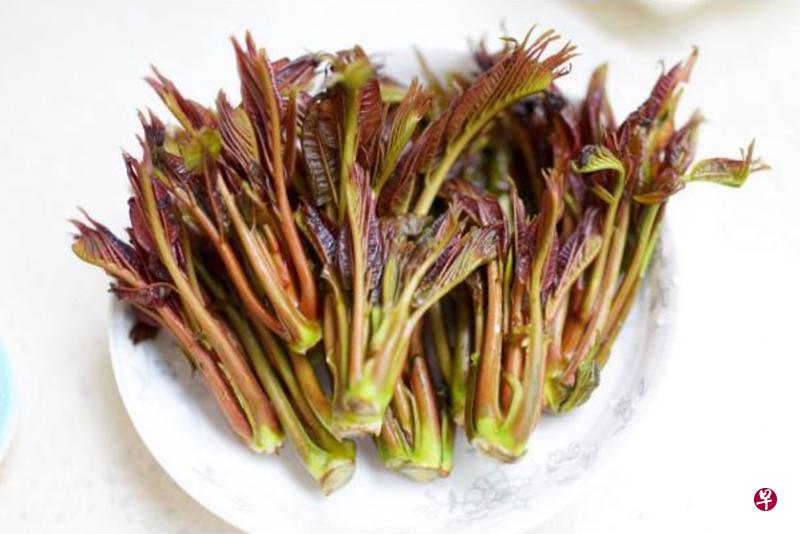 香椿芽是中国独有的树生菜。(互联网) 香椿芽是中国独有的树生菜。(互联网)