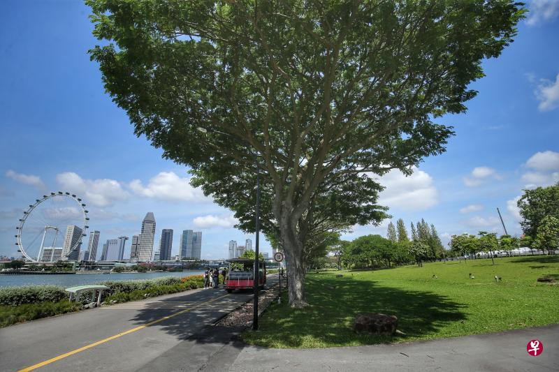建国元勋纪念堂将在2027年落户滨海东花园,访客可从这个地点欣赏到滨海湾不断演变的市区景观。(档案照片) 建国元勋纪念堂将在2027年落户滨海东花园,访客可从这个地点欣赏到滨海湾不断演变的市区景观。(档案照片)