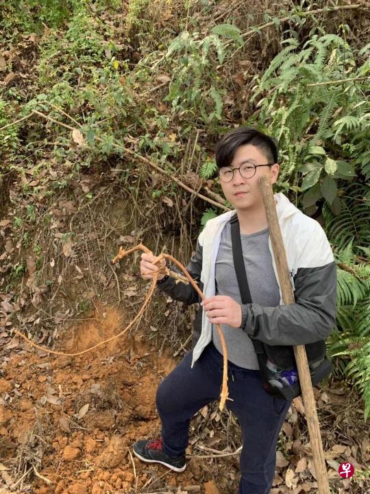 除了中医药的学习,食疗调理的学习也必不可少。图为学中医的新加坡留学生袁梓朗在挖五指毛桃。(曾实 摄) 除了中医药的学习,食疗调理的学习也必不可少。图为学中医的新加坡留学生袁梓朗在挖五指毛桃。(曾实 摄)