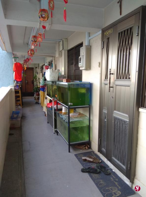 (读者提供) (读者提供)