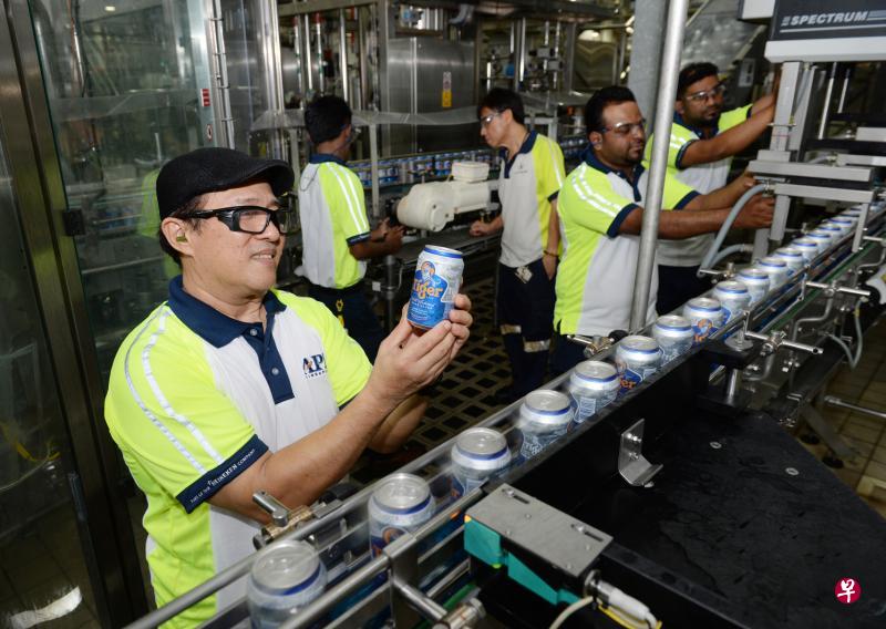 亚太酿酒厂员工在虎牌啤酒的包装线旁工作。公司准备培训一组员工,操作即将引入的新机器,酿制无酒精啤酒。(潘丰源摄) 亚太酿酒厂员工在虎牌啤酒的包装线旁工作。公司准备培训一组员工,操作即将引入的新机器,酿制无酒精啤酒。(潘丰源摄)