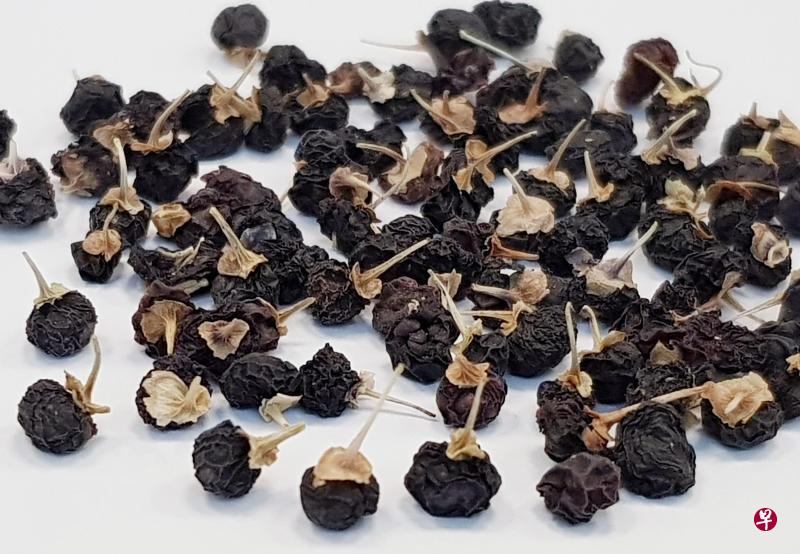 黑枸杞含有较多生物碱及微量元素。（档案）