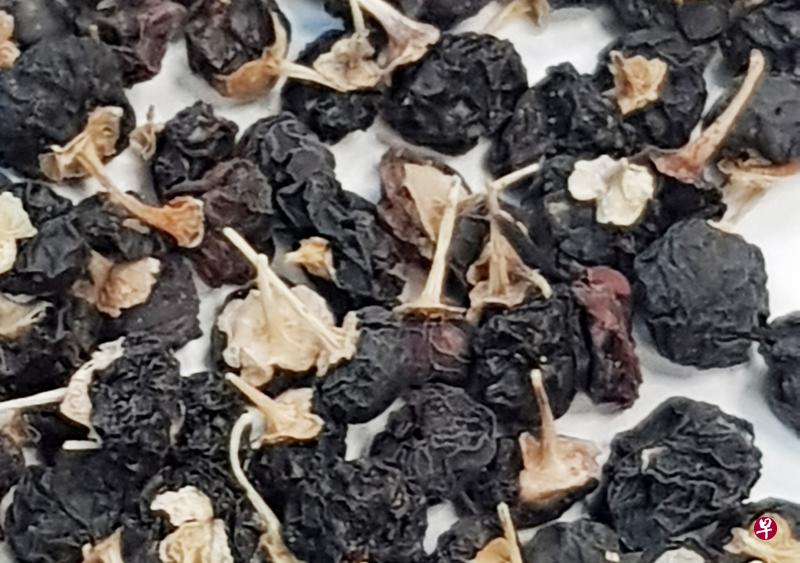黑枸杞(档案照) 黑枸杞(档案照)