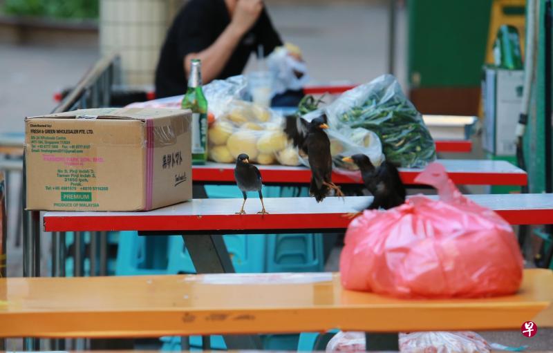 有餐饮业者或食材供应商因贪图方便，随手把新鲜食材放在桌椅上，甚至暴露在外，吸引鸟群和老鼠前来，对食品卫生造成了极大风险。（档案照片）