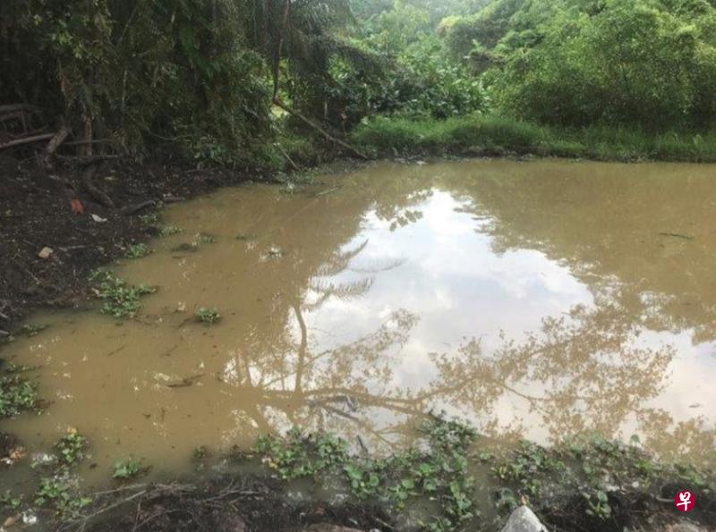 财裕建筑公司在裕廊路工地里挖掘的水池只达规定尺寸的22分之一。(公用局提供) 财裕建筑公司在裕廊路工地里挖掘的水池只达规定尺寸的22分之一。(公用局提供)