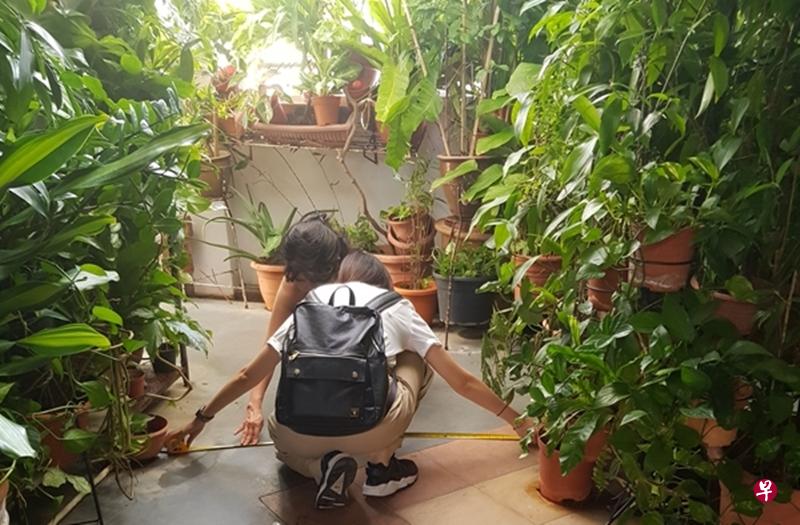 妇女拿量尺测量宽度,坚称没有违例。(徐颖荃摄) 妇女拿量尺测量宽度,坚称没有违例。(徐颖荃摄)