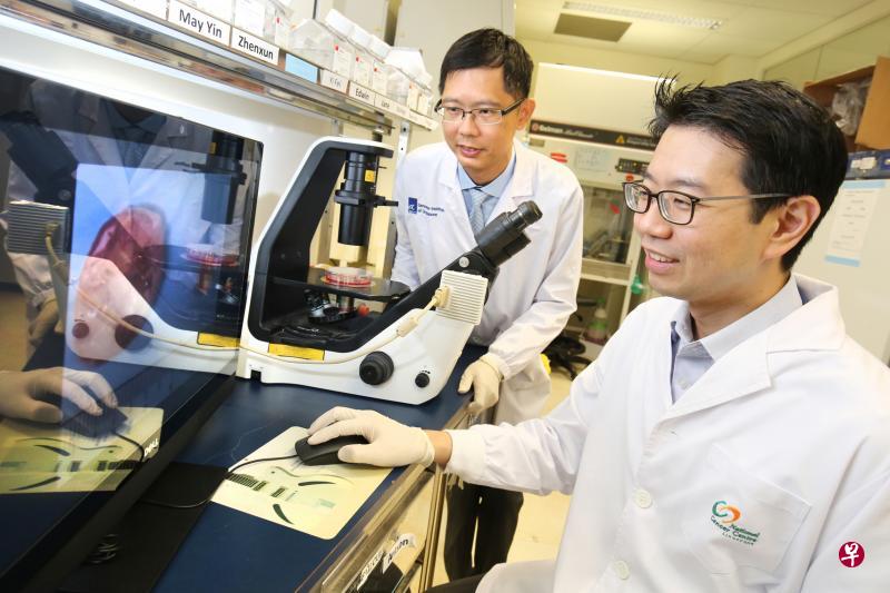 新加坡基因研究院精准肿瘤内科组长谭伟樑助理教授(左)与新加坡国立癌症中心肿瘤内科高级顾问陈劭文副教授一同参与的突破性研究,成功破解传统化疗无法打击的癌症干细胞,到底有怎样的营养需求,进而开启消灭这些干细胞的可能。(梁麒麟摄) 新加坡基因研究院精准肿瘤内科组长谭伟樑助理教授(左)与新加坡国立癌症中心肿瘤内科高级顾问陈劭文副教授一同参与的突破性研究,成功破解传统化疗无法打击的癌症干细胞,到底有怎样的营养需求,进而开启消灭这些干细胞的可能。(梁麒麟摄)