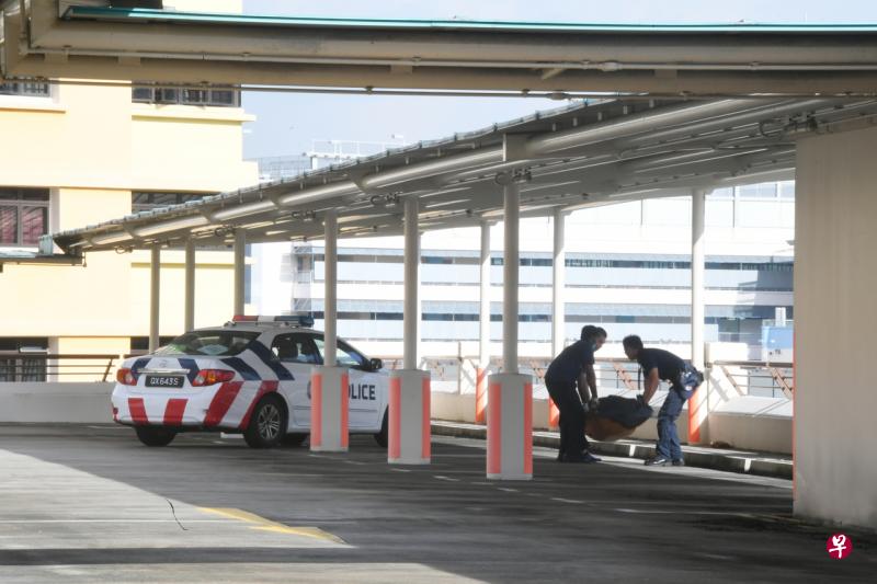 警方协力将尸体抬下楼。 警方协力将尸体抬下楼。