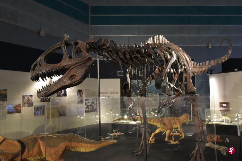 恐龙展览“DinoQuest”结合多媒体技术。 恐龙展览“DinoQuest”结合多媒体技术。