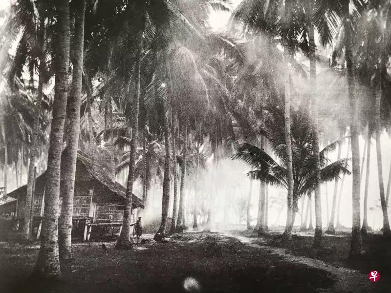 这幅由汤姆逊摄于1863年的《椰林晨景》,完美地记录了当年新加坡加东一带的甘榜风光。汤姆逊回忆说:“我发觉通常清晨是照相的最好时刻。那时候气温较低,在一两个小时的光景里,大自然一片 静,令人心旷神怡。”(互联网) 这幅由汤姆逊摄于1863年的《椰林晨景》,完美地记录了当年新加坡加东一带的甘榜风光。汤姆逊回忆说:“我发觉通常清晨是照相的最好时刻。那时候气温较低,在一两个小时的光景里,大自然一片 静,令人心旷神怡。”(互联网)