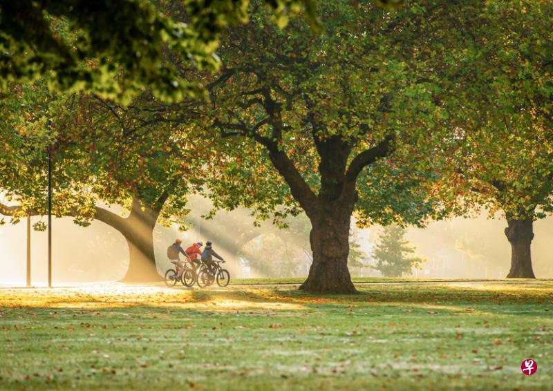 (新华社) (新华社)