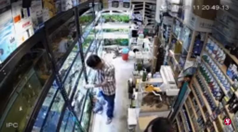 男子被指把白色粉末倒入鱼缸。(受访者提供) 男子被指把白色粉末倒入鱼缸。(受访者提供)
