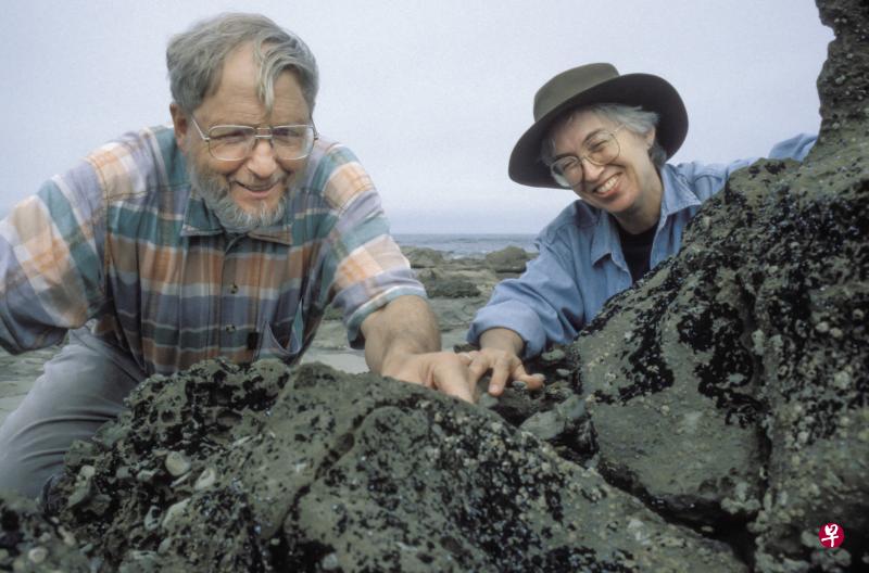 古生物学者莉芝教授(Dr Patricia Vickers-Rich,图右)上世纪60年代至今,参与至少50次挖掘项目,发掘的化石达上万个。(受访者提供) 古生物学者莉芝教授(Dr Patricia Vickers-Rich,图右)上世纪60年代至今,参与至少50次挖掘项目,发掘的化石达上万个。(受访者提供)