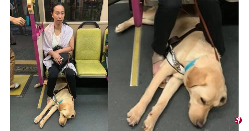 邱美美带导盲犬上巴士,未料被女子阻拦,所幸好心的巴士司机帮忙找座位。(取自面簿) 邱美美带导盲犬上巴士,未料被女子阻拦,所幸好心的巴士司机帮忙找座位。(取自面簿)