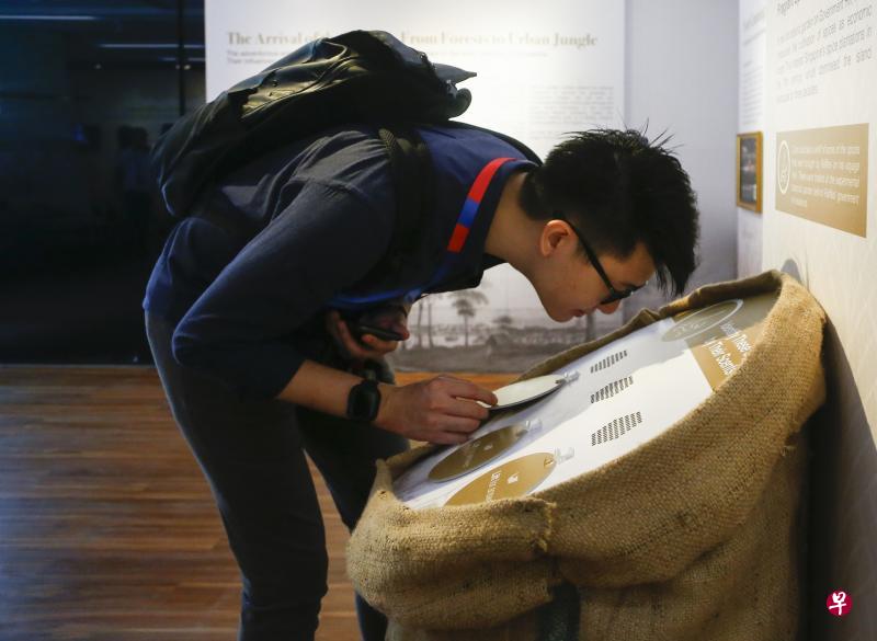 闻一闻,猜一猜,访客可在展览所设的互动站认识19世纪福康宁公园种植的香料。(林琬清摄) 闻一闻,猜一猜,访客可在展览所设的互动站认识19世纪福康宁公园种植的香料。(林琬清摄)