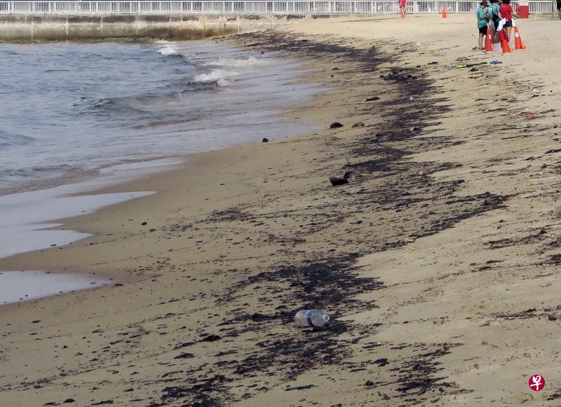 东海岸公园沙滩和海域昨早出现油污,新加坡海事与港务管理局随后派人到场清理。(陈来福摄) 东海岸公园沙滩和海域昨早出现油污,新加坡海事与港务管理局随后派人到场清理。(陈来福摄)