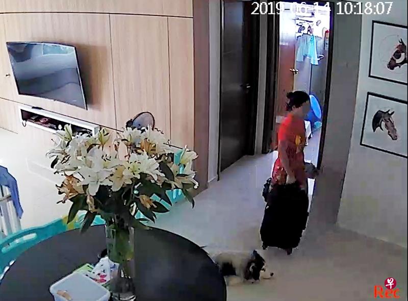 雇主出示女佣趁家中无人拖行李离开的画面。(受访者提供) 雇主出示女佣趁家中无人拖行李离开的画面。(受访者提供)