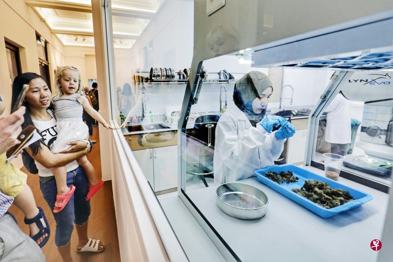 种子库开放给公众参观,各实验室装有玻璃窗让访客可以从外头一窥种子处理过程。(林国明摄) 种子库开放给公众参观,各实验室装有玻璃窗让访客可以从外头一窥种子处理过程。(林国明摄)