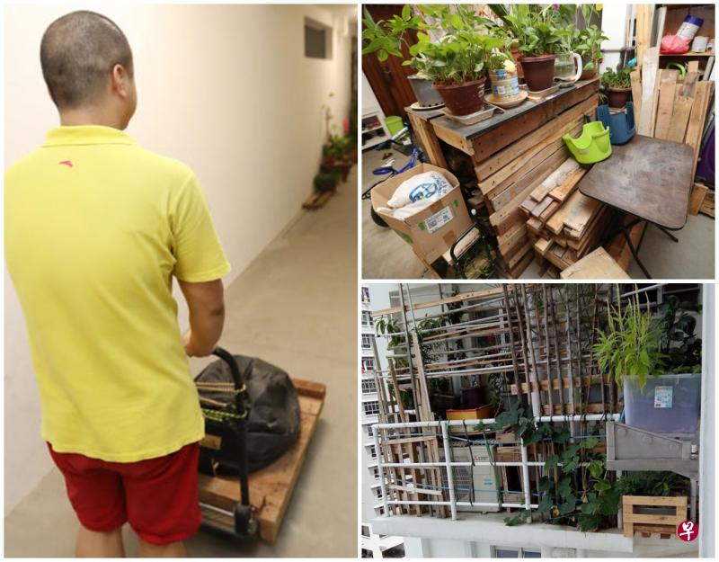 住在9楼角落间的屋主被指长期在走廊上堆放木板和盆栽,引起邻居不满。 住在9楼角落间的屋主被指长期在走廊上堆放木板和盆栽,引起邻居不满。