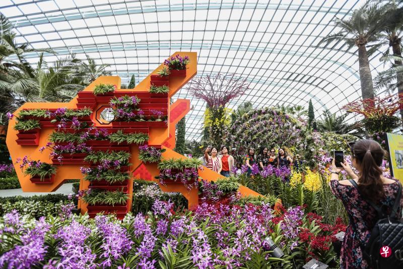 “兰花盛事:Our SingaPop”花卉展融合了流行文化和本地常见的建筑或物品。其中恐龙游乐场长20公尺,高四公尺,身体部分由盛放的兰花组成,看似一个“兰花隧道”。(梁伟康摄) “兰花盛事:Our SingaPop”花卉展融合了流行文化和本地常见的建筑或物品。其中恐龙游乐场长20公尺,高四公尺,身体部分由盛放的兰花组成,看似一个“兰花隧道”。(梁伟康摄)