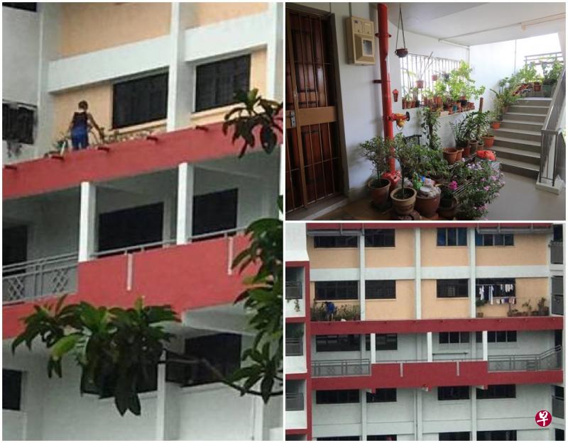 阿嫂被街坊拍到站在窗外平台上打理盆栽;市镇会介入后,阿嫂把24盆盆栽摆在单位外的走廊上。 阿嫂被街坊拍到站在窗外平台上打理盆栽;市镇会介入后,阿嫂把24盆盆栽摆在单位外的走廊上。