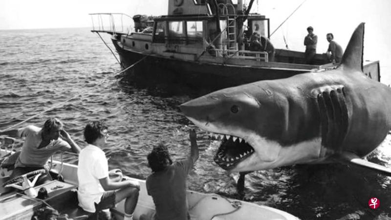 由史提芬·司匹堡执导的美国惊悚电影《大白鲨》。(视频截图) 由史提芬·司匹堡执导的美国惊悚电影《大白鲨》。(视频截图)
