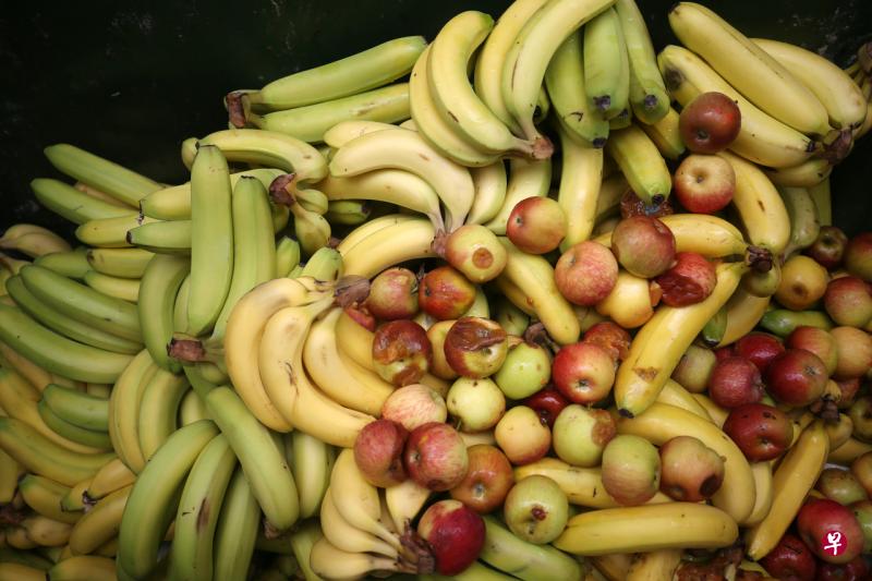 本地每年流失34万2000公吨的食物,主要来自进口食物和本地农场的供应链上游,而当中近一半是蔬菜水果。(档案照片) 本地每年流失34万2000公吨的食物,主要来自进口食物和本地农场的供应链上游,而当中近一半是蔬菜水果。(档案照片)