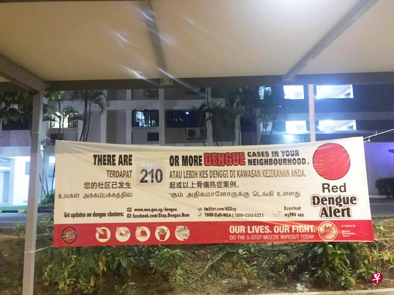 伊蚊增加、人口免疫力下降和天气变暖,是导致今年骨痛热症病例数量增加的三大因素。(档案照) 伊蚊增加、人口免疫力下降和天气变暖,是导致今年骨痛热症病例数量增加的三大因素。(档案照)