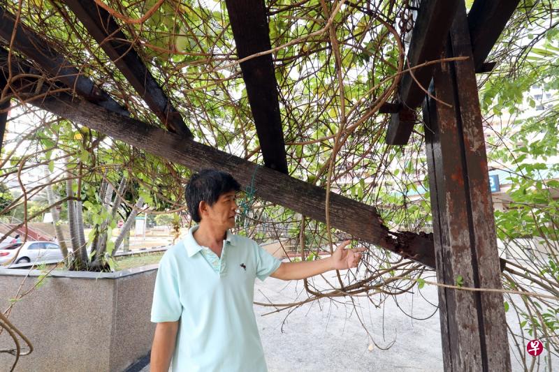 附近居民王先生指,乐龄公寓周边设施年久失修,其中一个木棚屋顶坍塌掉落,摇摇欲坠。(邝启聪摄) 附近居民王先生指,乐龄公寓周边设施年久失修,其中一个木棚屋顶坍塌掉落,摇摇欲坠。(邝启聪摄)