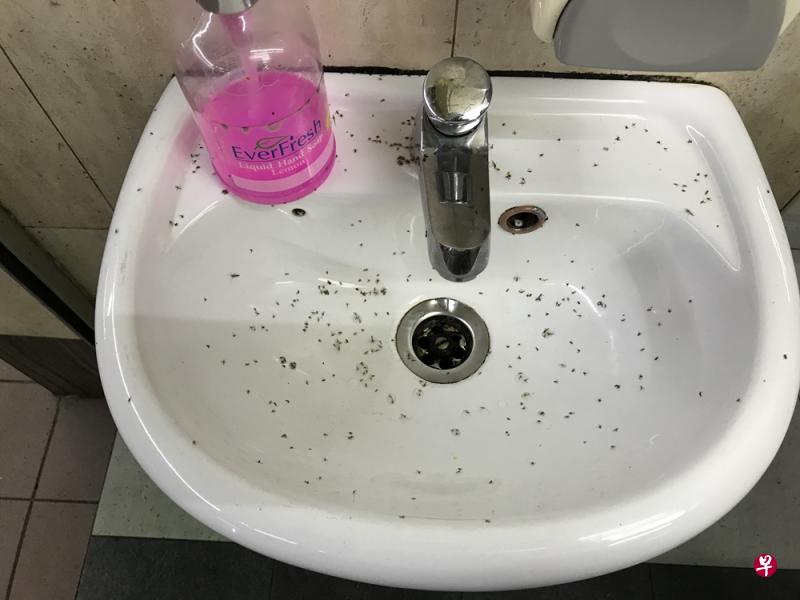 班丹蓄水池一带,出现蠓虫问题。(档案照) 班丹蓄水池一带,出现蠓虫问题。(档案照)