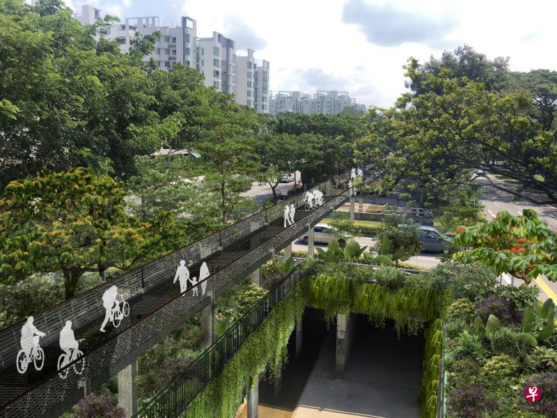空中公园是武吉知马梧槽绿廊第一阶段的发展项目,全长1.4公里。(国家公园局提供构想图) 空中公园是武吉知马梧槽绿廊第一阶段的发展项目,全长1.4公里。(国家公园局提供构想图)