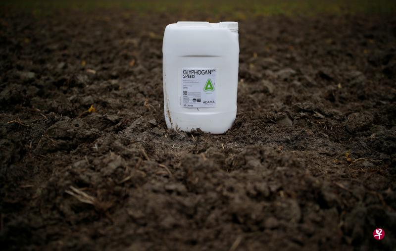 德国从2020年起就将系统化大幅减少草甘膦的使用,当局将首先禁止私家庭院、小花园和公共绿地使用草甘膦。(路透社) 德国从2020年起就将系统化大幅减少草甘膦的使用,当局将首先禁止私家庭院、小花园和公共绿地使用草甘膦。(路透社)