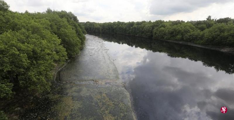 巴西古当金金河岸至今仍布满污渍并散发刺鼻气味。 (星洲日报) 巴西古当金金河岸至今仍布满污渍并散发刺鼻气味。 (星洲日报)