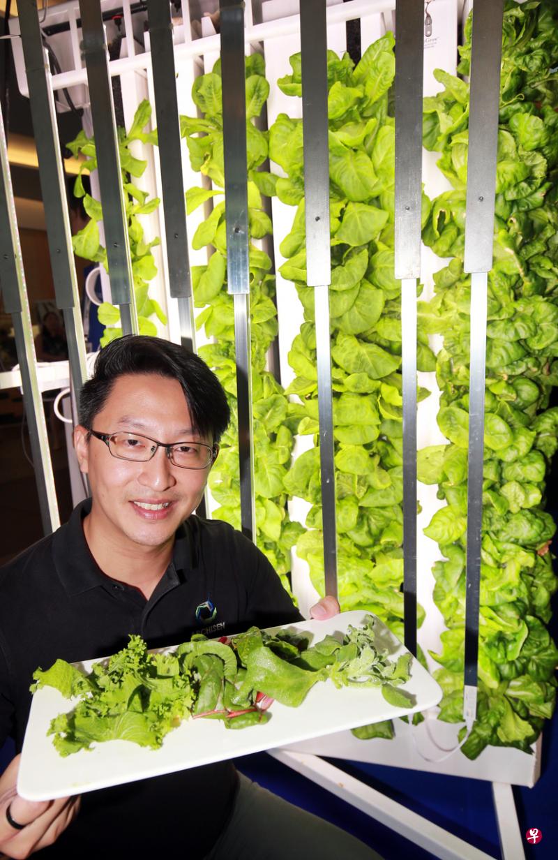 农业科技起步公司Archisen的联合创办人杨惠杰指出,室内农场目前种植约八至十种蔬菜,并采用公司研发的蔬菜产量管理系统,计算出最理想的生长期及可销售产量,充分利用有限的人力和空间资源。(唐家鸿摄) 农业科技起步公司Archisen的联合创办人杨惠杰指出,室内农场目前种植约八至十种蔬菜,并采用公司研发的蔬菜产量管理系统,计算出最理想的生长期及可销售产量,充分利用有限的人力和空间资源。(唐家鸿摄)