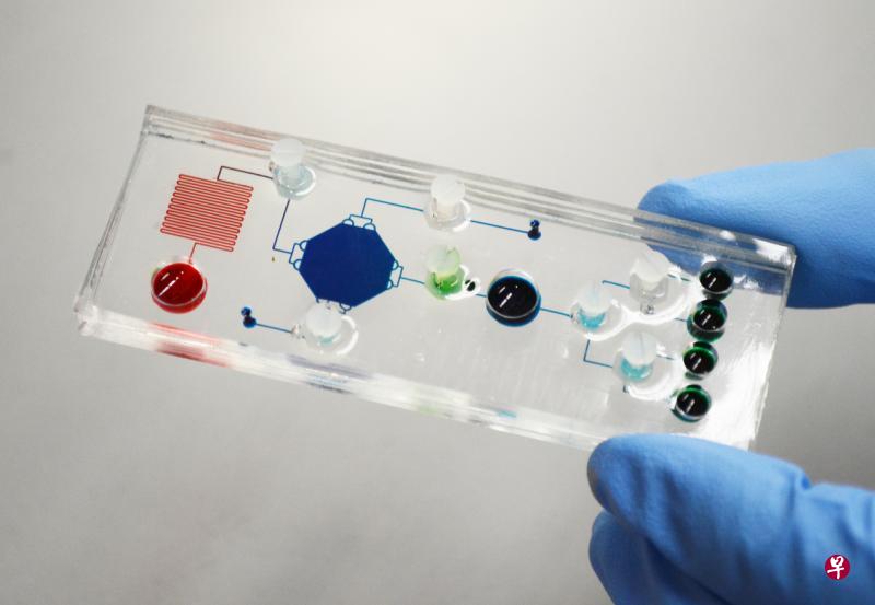 STAMP是一个7.5公分长、2.5公分宽的仪器,采用的技术直接对DNA进行分析,经临床研究发现其检测乳癌的准确度高达94%。(新加坡国立大学提供) STAMP是一个7.5公分长、2.5公分宽的仪器,采用的技术直接对DNA进行分析,经临床研究发现其检测乳癌的准确度高达94%。(新加坡国立大学提供)