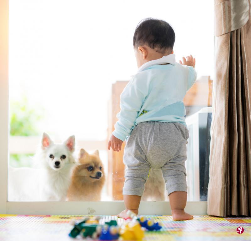 (iStock图片) (iStock图片)